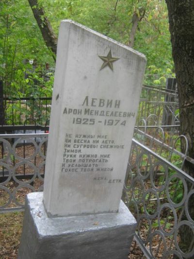 Левин Арон Менделеевич