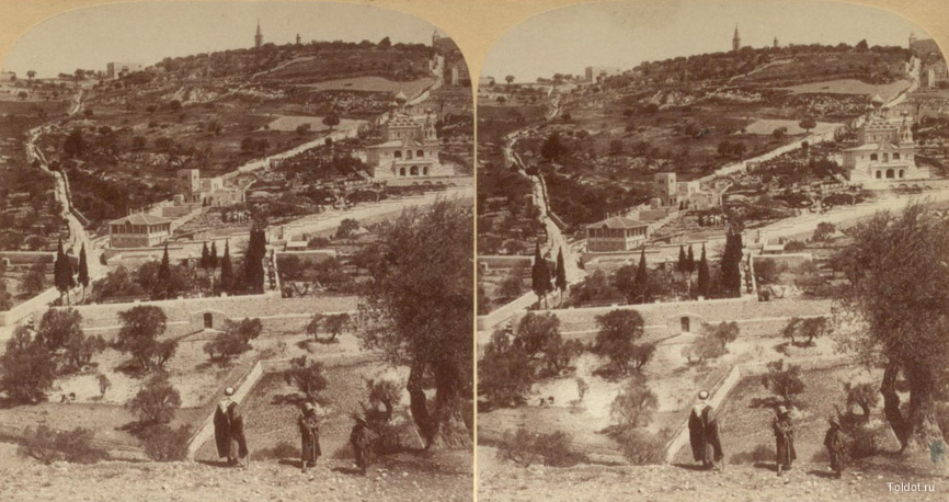   Неизвестный автор  — Иерусалим. Гефсиманский сад и Масличная гора