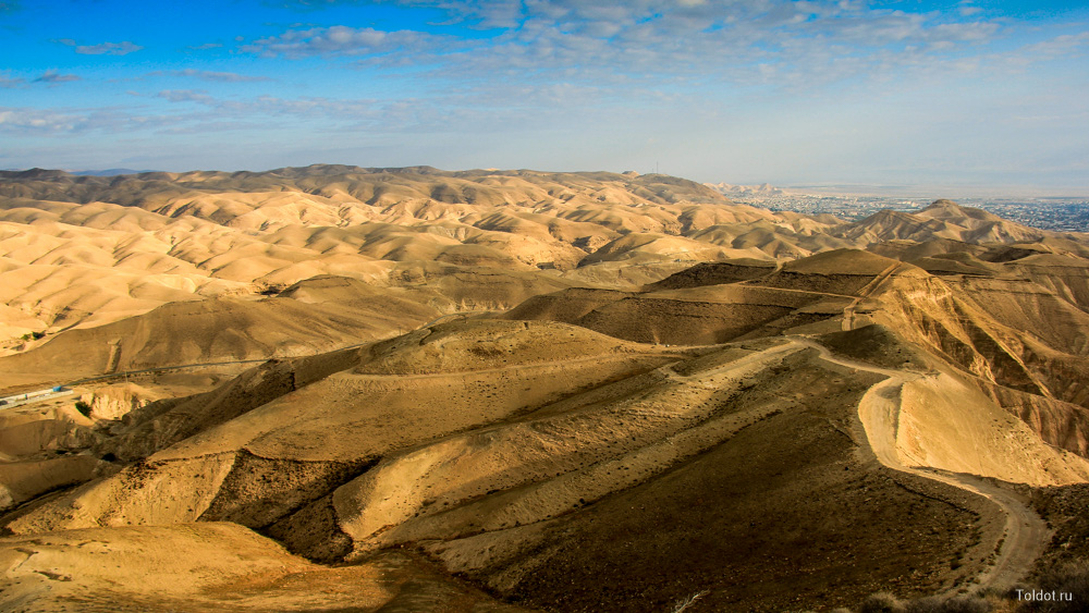Рав Авраам Коэн  — Холмы Иудейской пустыни