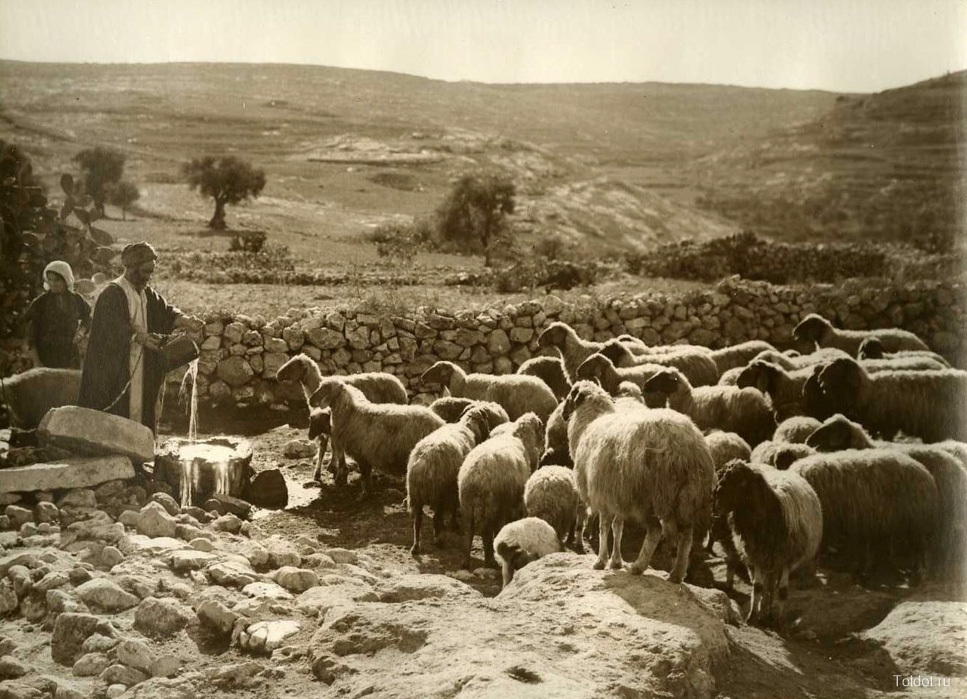   Неизвестный автор  — Иерусалимские пастухи — На привале